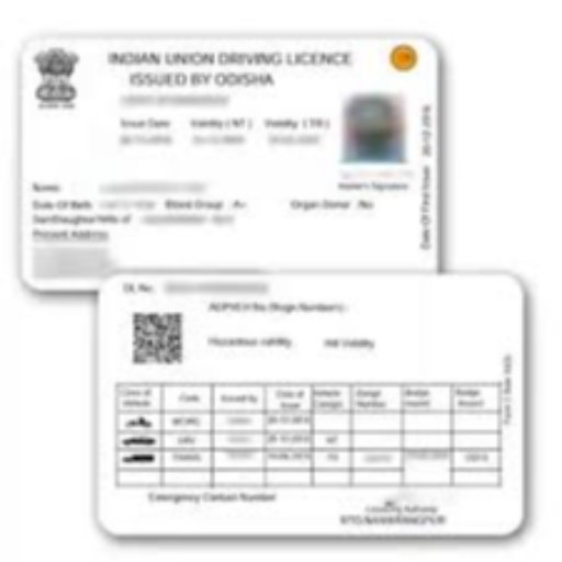 DRIVING LICENSE